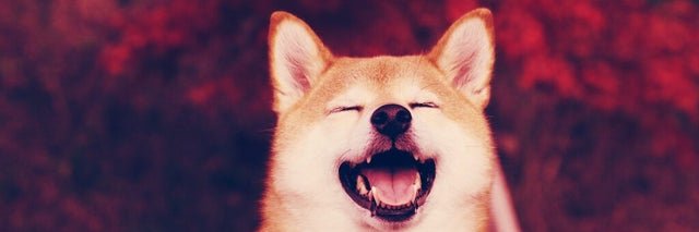 melodsanry's profile banner image