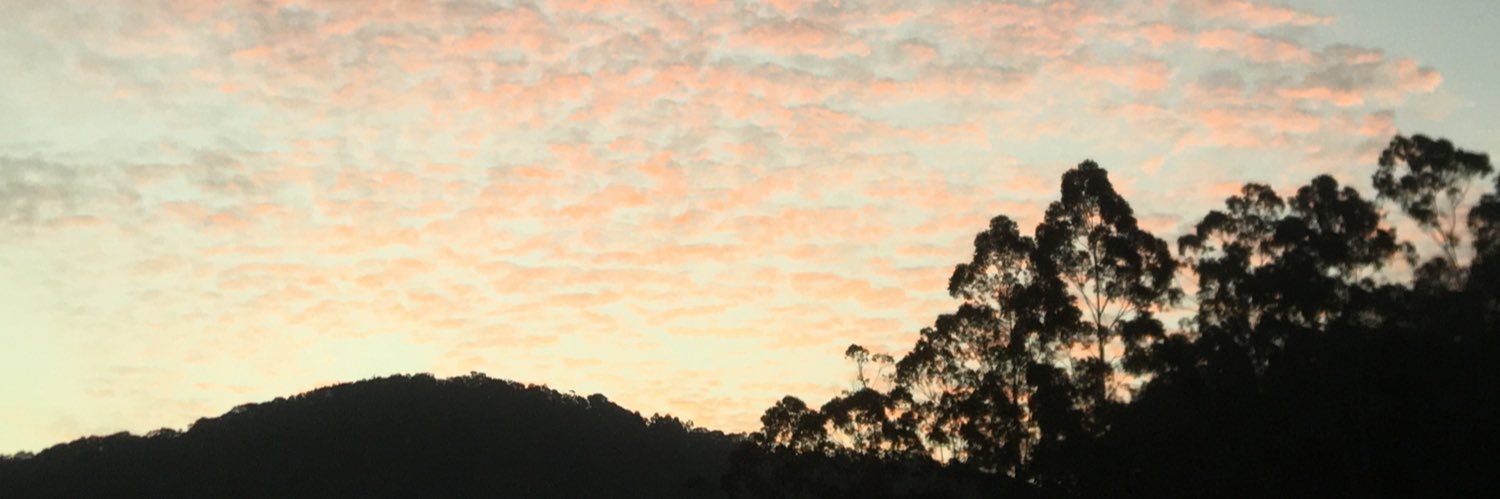 Lomaapaust's profile banner image
