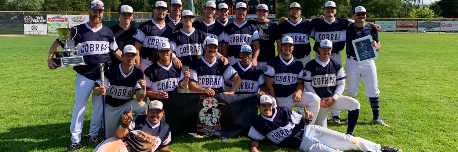 Minneapolis Cobras banner