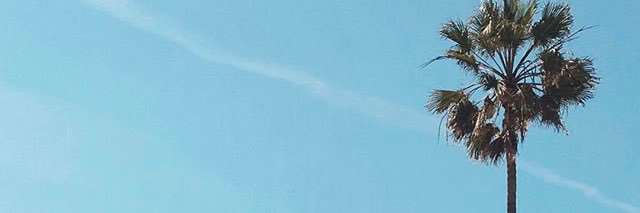 samftlia's profile banner image