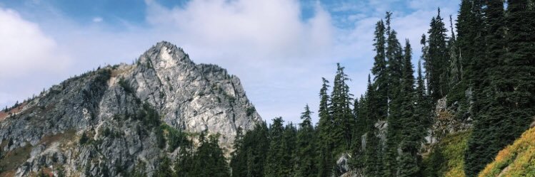 hazel_wilburn's profile banner image