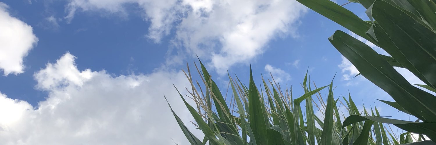 AaronGoure's profile banner image