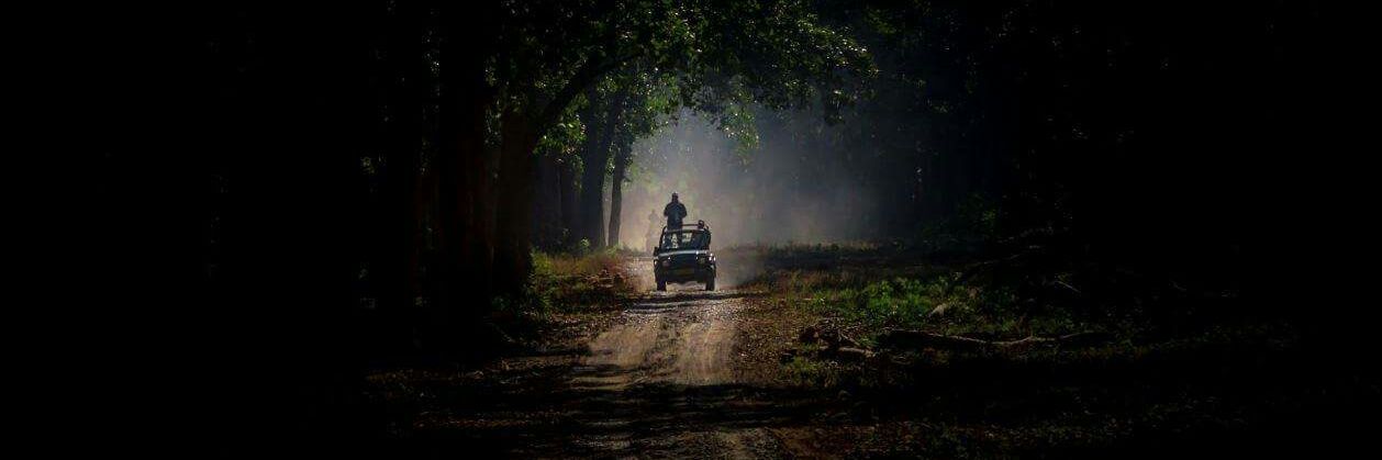 dpranay12's profile banner image