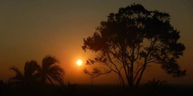 Amy Claire Schofield banner