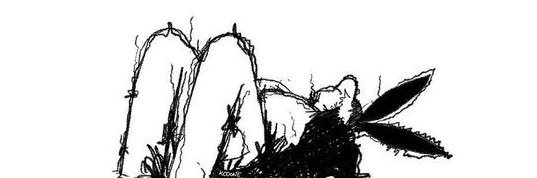 chris_markos's profile banner image