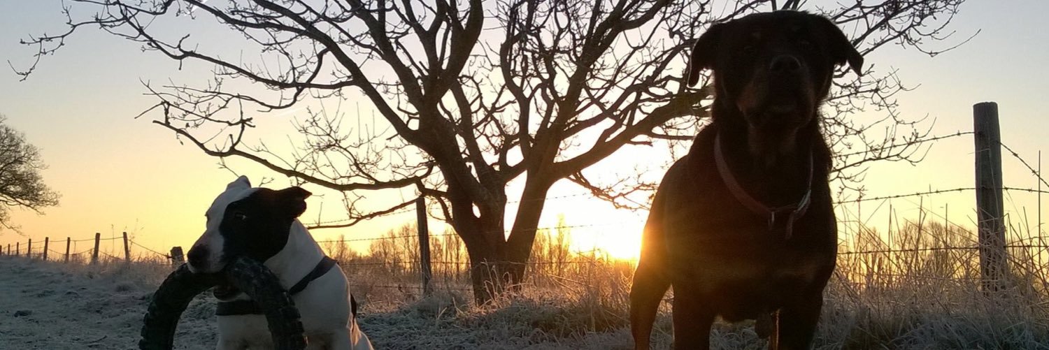 effieeeallmond's profile banner image