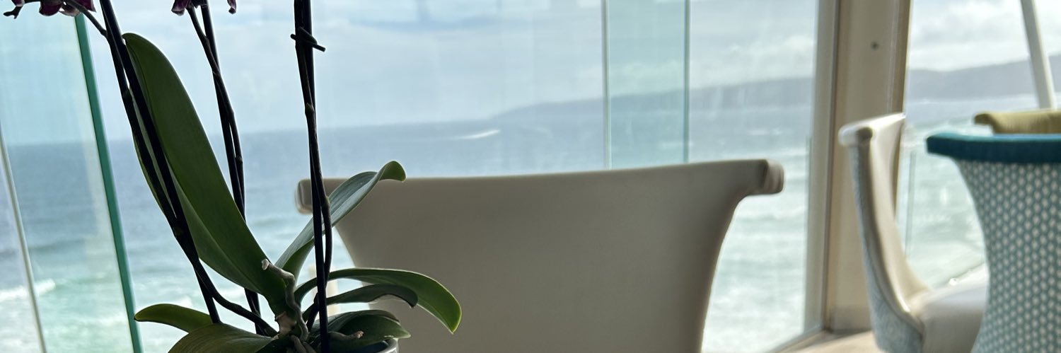 ✨panado dispensary ✨ banner