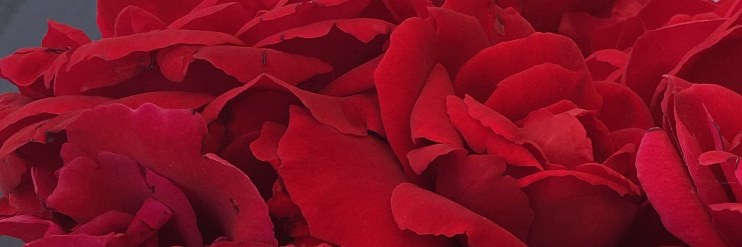 mslfhag's profile banner image