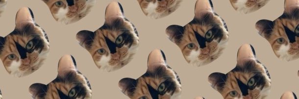 MorganHeirigs's profile banner image