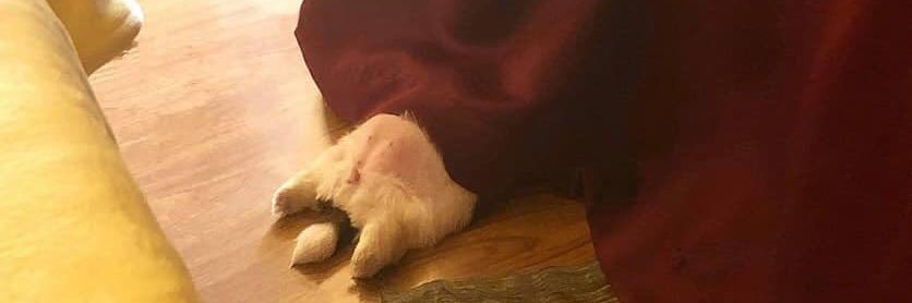 somethingisp's profile banner image