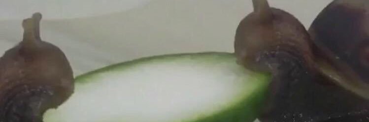 yvsmyg's profile banner image