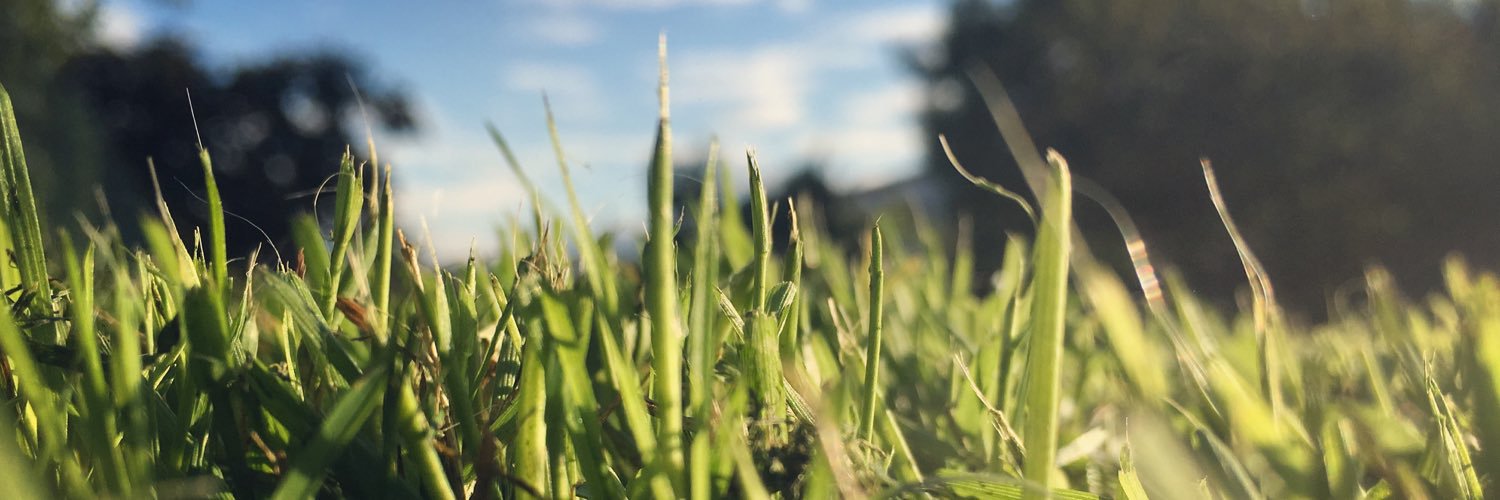 _Pau_C_'s profile banner image