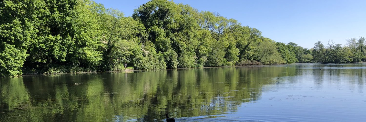 †Adelaide† banner