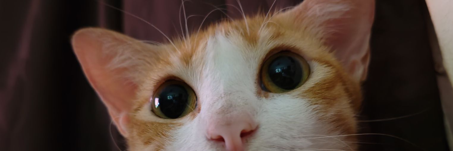 dbbmdrl's profile banner image