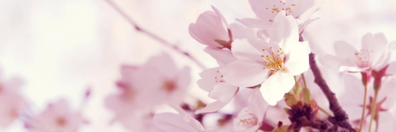 cpelone's profile banner image