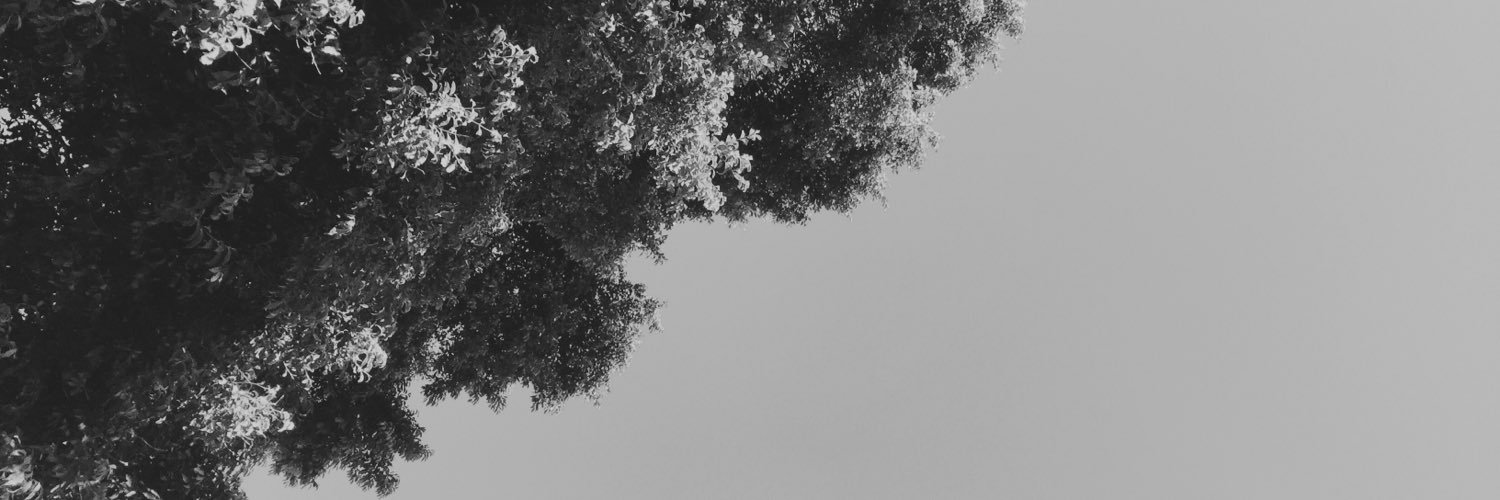 AUSDALLAS's profile banner image