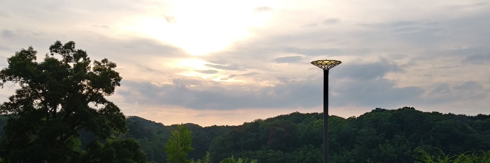 さわら🌱 banner