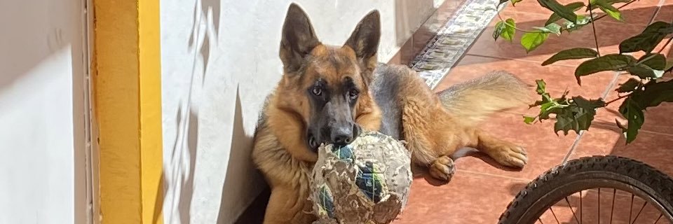 Brandon_buffon's profile banner image