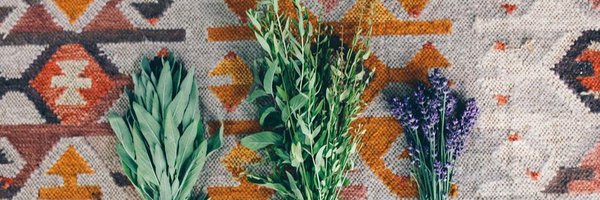 Lowdogmd Profile Banner