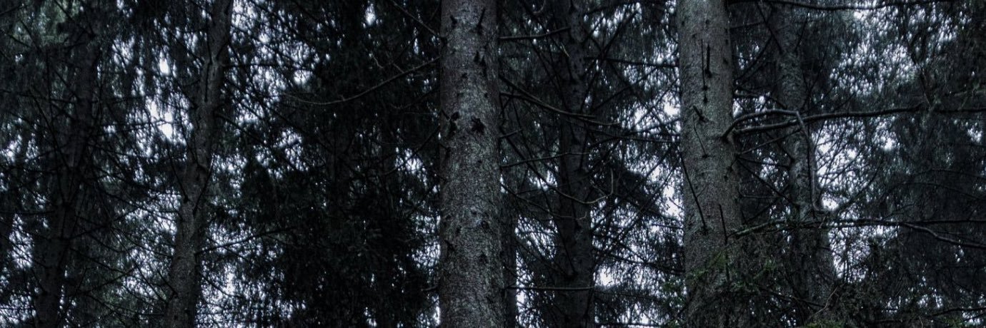 J_Hoard's profile banner image