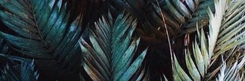 allaboutlino's profile banner image