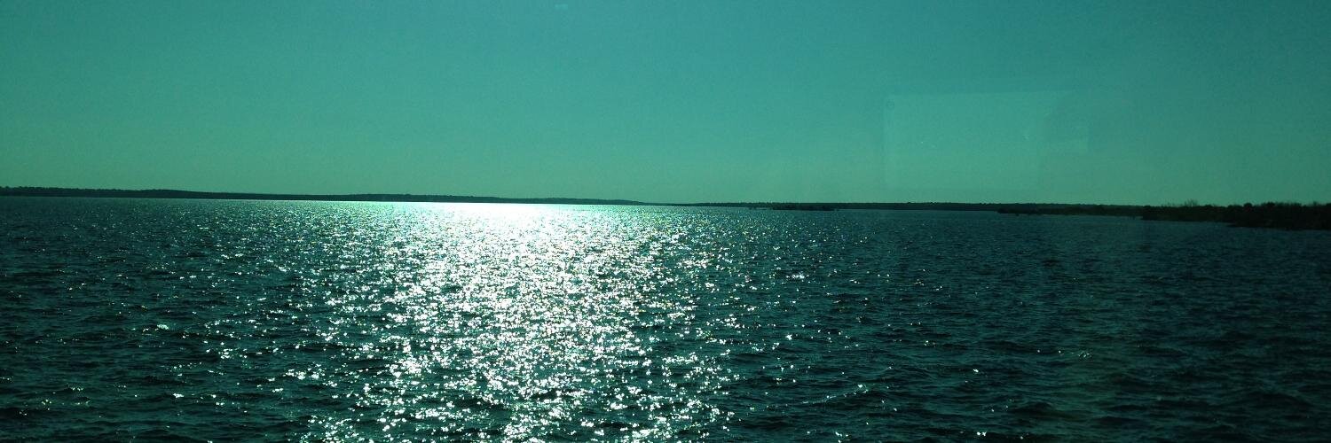 martadcp's profile banner image