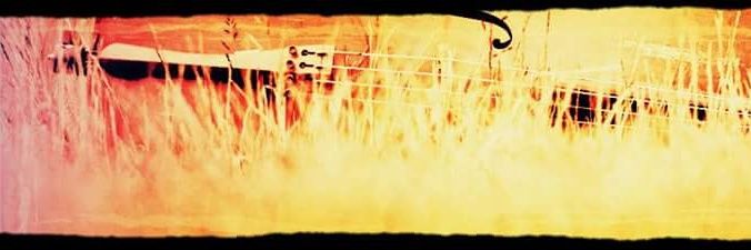 Shirley Smart banner