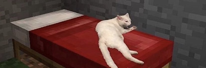 joshmaxeyy's profile banner image