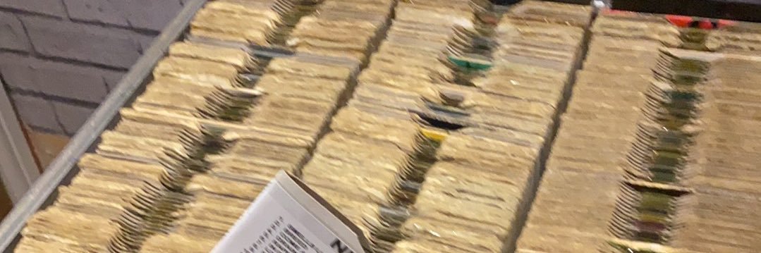 Steve Clark🦖 banner