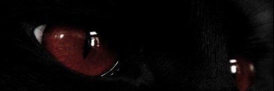 𝔞𝔫𝔤𝔢𝔩𝔦𝔱𝔬 𖤐 banner