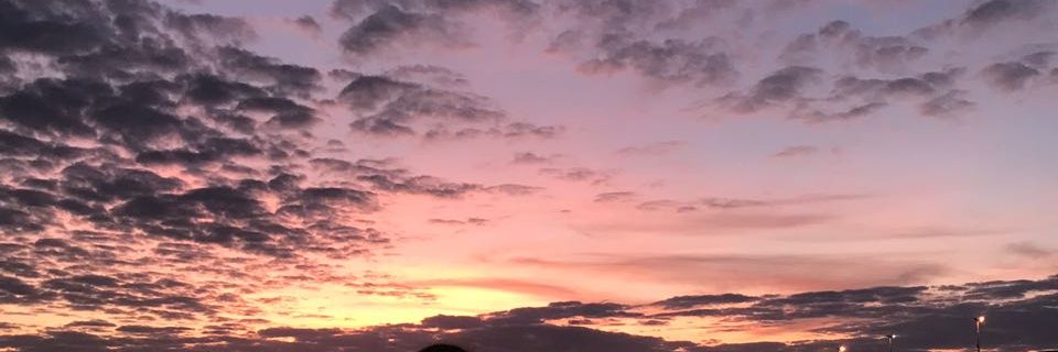 jainsfran's profile banner image
