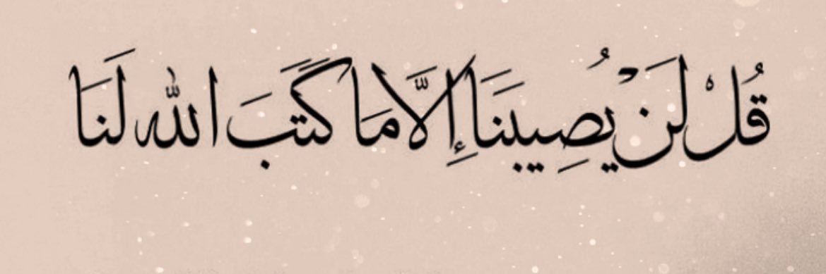 philae04's profile banner image