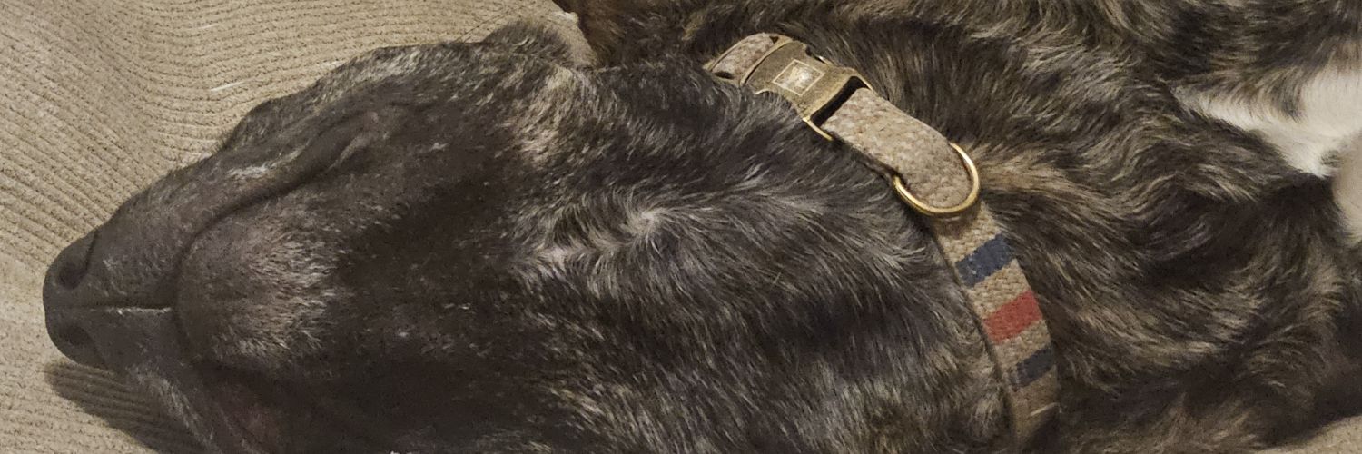 superconn_64's profile banner image