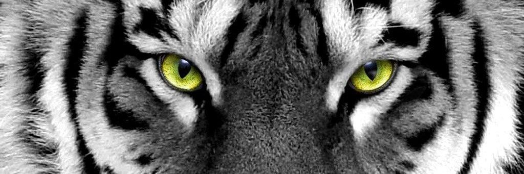 Vijayk_vikky's profile banner image