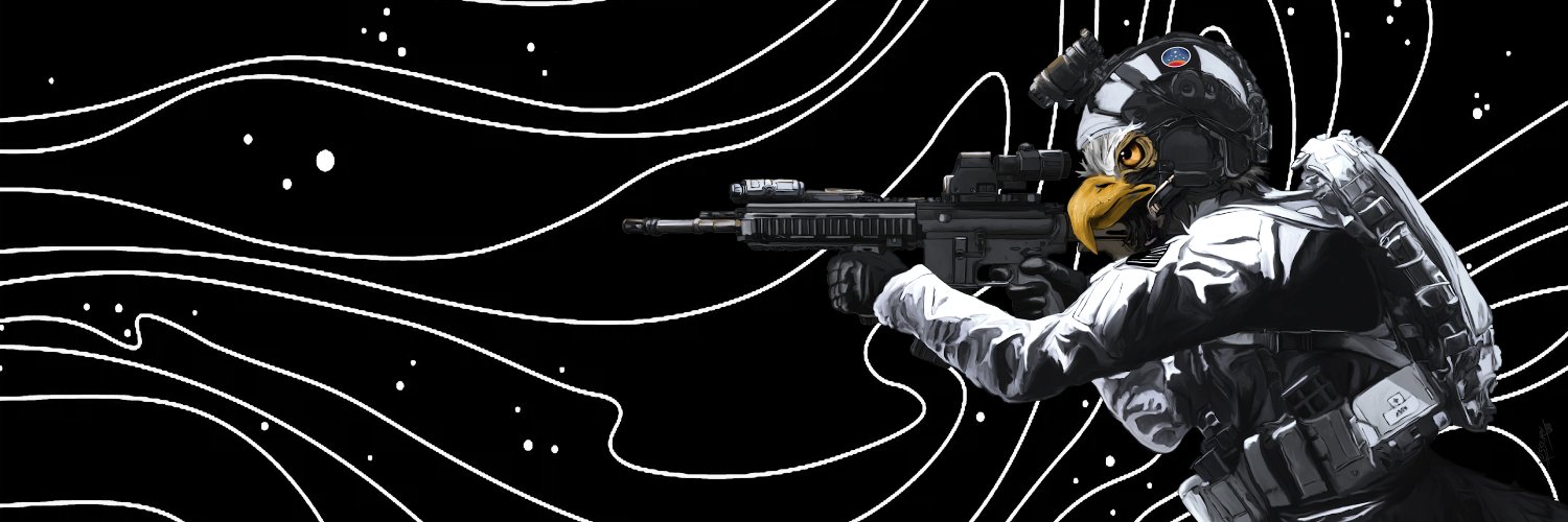 𝙂𝙐𝙉𝘽𝙄𝙍𝘿🇺🇸 banner