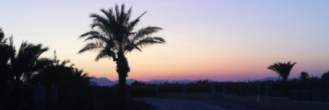 Andrea Ruso banner