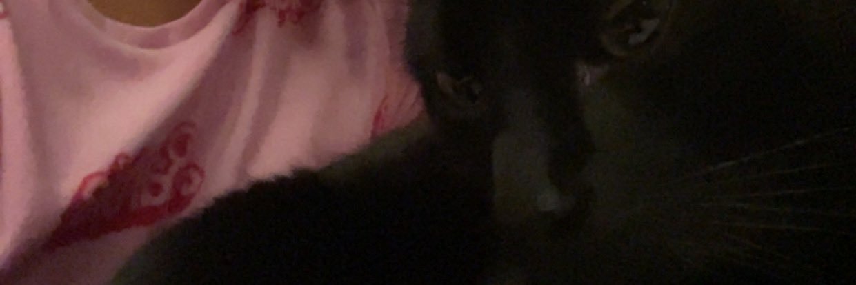ctrn_silvana's profile banner image