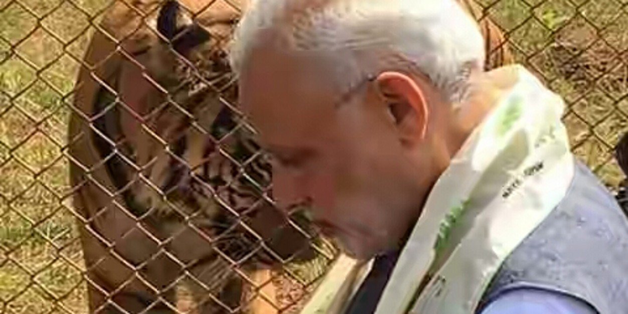 KumarDharmaver's profile banner image