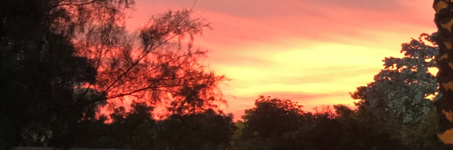 SheilaMduff's profile banner image