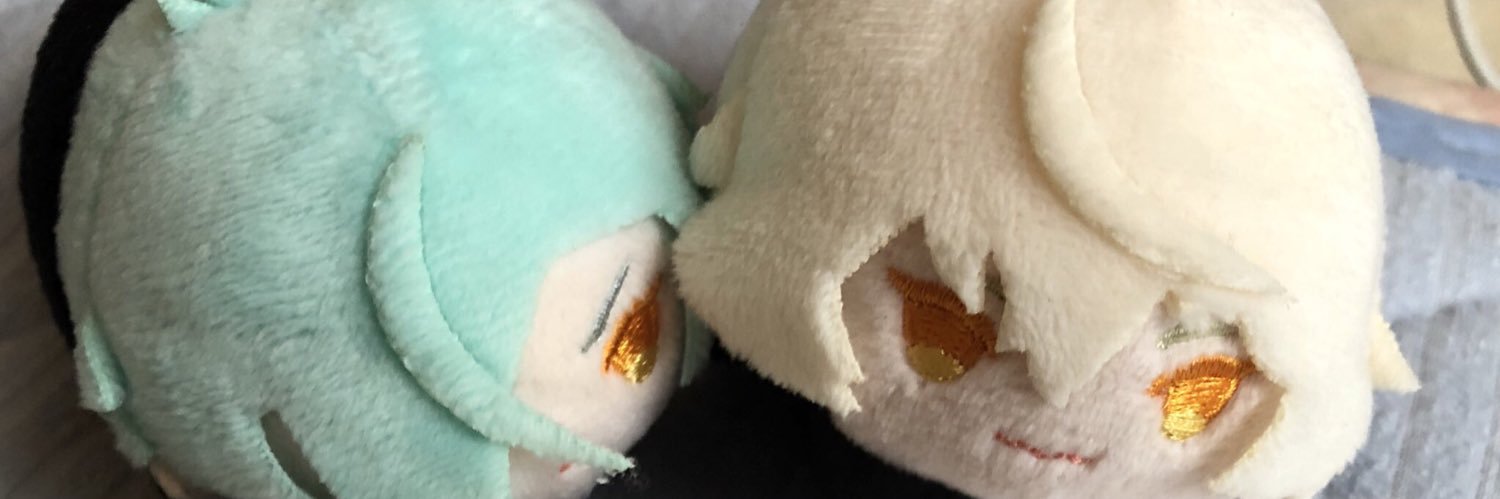 wnblossom's profile banner image