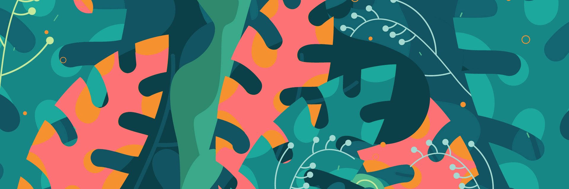 littlefund's profile banner image