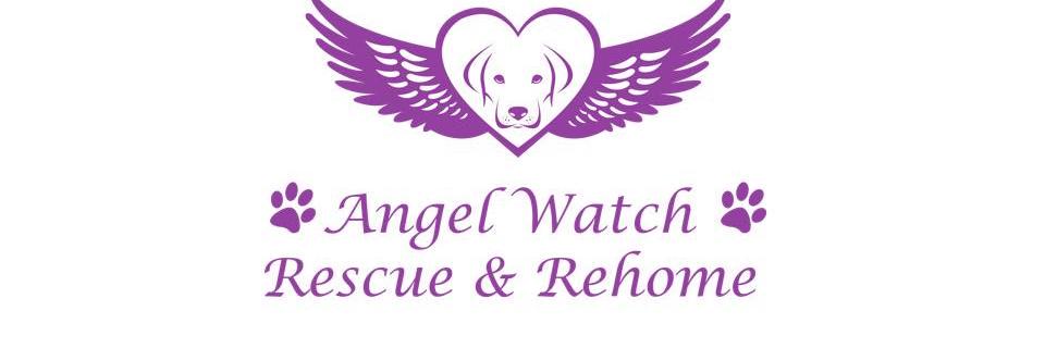 AngelWatchRescu's profile banner image