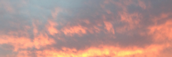 meisperf's profile banner image