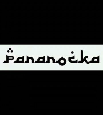 pararocka1's profile banner image