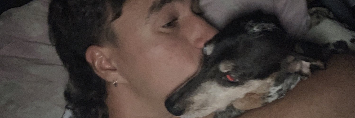 jvgelezis's profile banner image