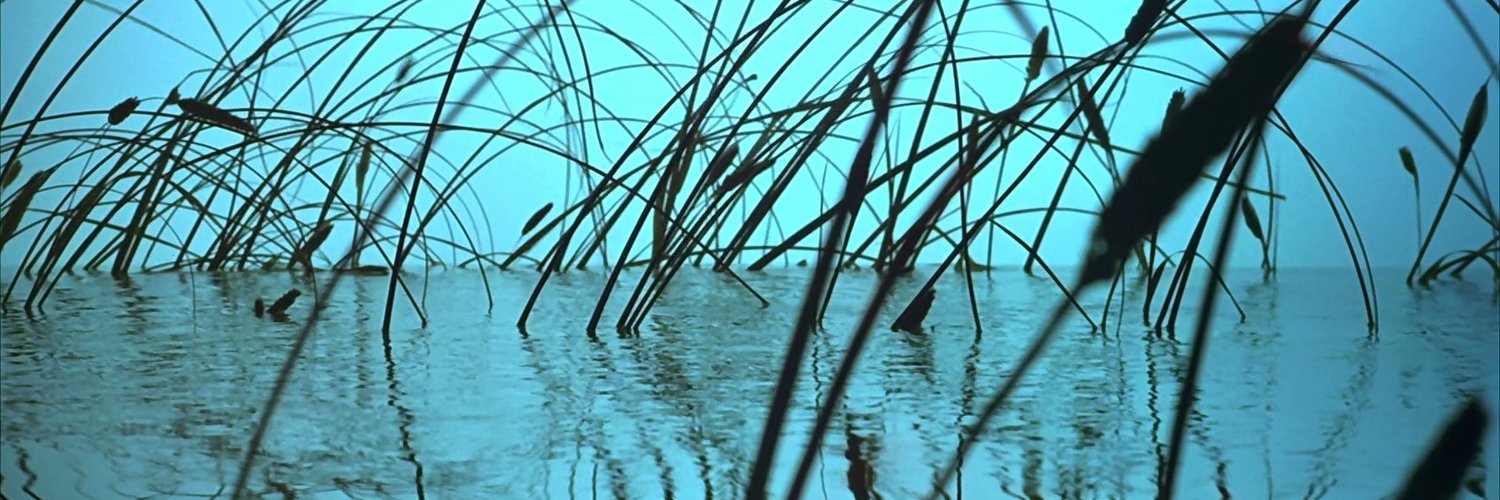 pitdog75's profile banner image
