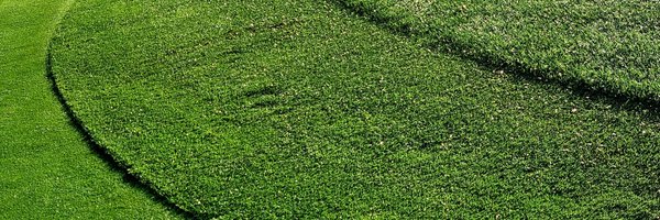 lucysellick Profile Banner