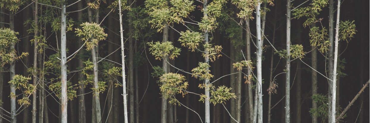 Planteastic's profile banner image