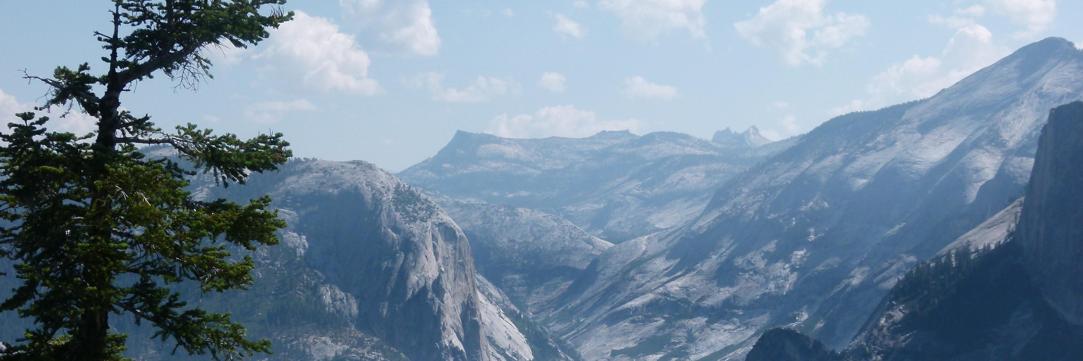 JanePlatts01's profile banner image