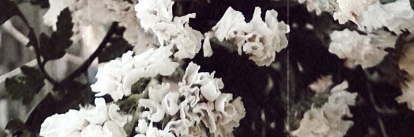 emmasg9's profile banner image